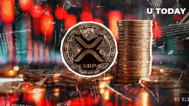 النقد الرقمي XRP ينجو من أكبر انهيار – اكتشف التفاصيل!