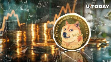 دوجكوين (DOGE) تسجل ارتفاعاً هائلاً بنسبة 133,000%: اكتشف ما يحدث الآن!