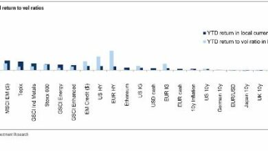 ارتفاع البيتكوين بنسبة 40% منذ بداية العام، لكن الذهب يتفوق في العوائد المعدلة بالمخاطر- اكتشف المزيد!