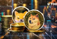 ارتفاع دوجكوين (DOGE) بنسبة 27٪: هل ستنمو شيبا إينو (SHIB) أكثر؟ اكتشف الآن!