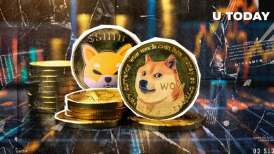 ارتفاع دوجكوين (DOGE) بنسبة 27٪: هل ستنمو شيبا إينو (SHIB) أكثر؟ اكتشف الآن!