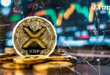 ارتفاع XRP بنسبة 14,134% في 24 ساعة بسبب اختلال تصفية غير عادي - اكتشف المزيد الآن!