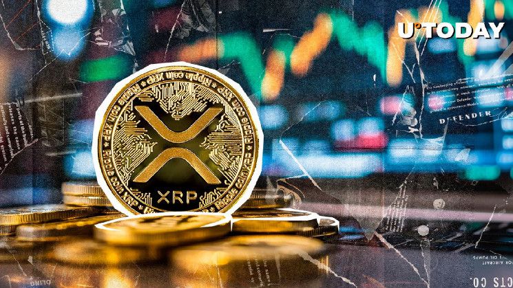 ارتفاع XRP بنسبة 14,134% في 24 ساعة بسبب اختلال تصفية غير عادي - اكتشف المزيد الآن!