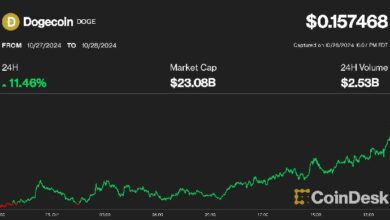 دوجكوين تقفز 10٪ متفوقة بفضل شعبية ترامب بينما يقترب بيتكوين من 70 ألف دولار - اكتشف الآن!