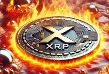 مع ارتفاع بيتكوين، هل يمكن لسعر XRP اللحاق بالموجة؟ اكتشف الآن!