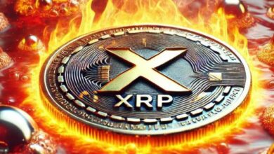 مع ارتفاع بيتكوين، هل يمكن لسعر XRP اللحاق بالموجة؟ اكتشف الآن!