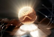 هل يحصل صندوق Bitwise XRP المتداول في البورصة على موافقة الجهات التنظيمية؟ اكتشف الآن!