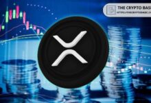 خبراء: هل يصل سعر XRP إلى 20 دولارًا في هذه الدورة الصاعدة؟ اكتشف الآن!