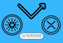 مستثمر عقاري ينصح ببيع XRP و Cardano لشراء بيتكوين: اكتشف الأسباب!