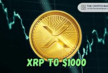 إليك البورصة التي تتوقع وصول XRP إلى 1000 دولار - اكتشف المزيد!