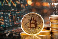 عودة بيتكوين (BTC) إلى 62,000 دولار بفضل بيانات التوظيف القوية في الولايات المتحدة - اقرأ التفاصيل!