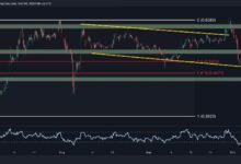 تحليل سعر الريبل: هل يتجه XRP نحو انهيار تحت $0.50؟ اكتشف الآن!