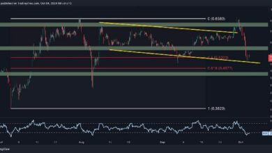 تحليل سعر الريبل: هل يتجه XRP نحو انهيار تحت $0.50؟ اكتشف الآن!