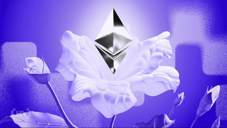 ارتفاع سعر إيثريوم (ETH) إلى 2600 دولار يأتي بمخاطر مقلقة - اكتشف التفاصيل الآن