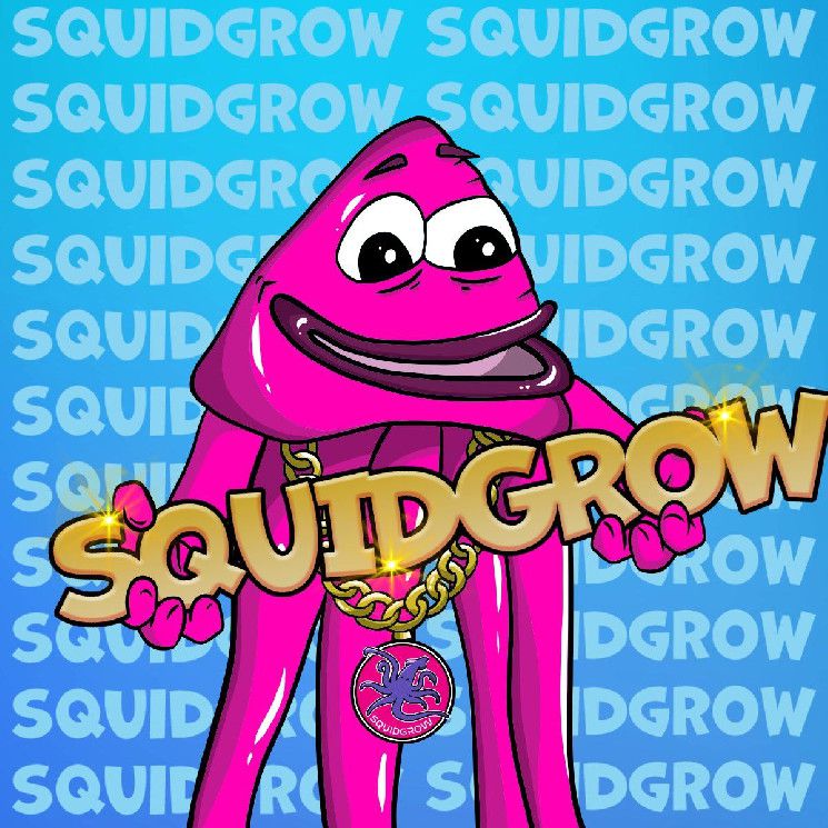 الفائدة طويلة الأمد تميز SquidGrow في عالم العملات الميمية عالية المخاطر وسريعة الربح: اكتشف التفاصيل الآن