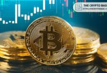 محلل مخضرم يتوقع جدول زمني لهجوم البيتكوين على أعلى سعر له على الإطلاق - اكتشف التفاصيل الآن!