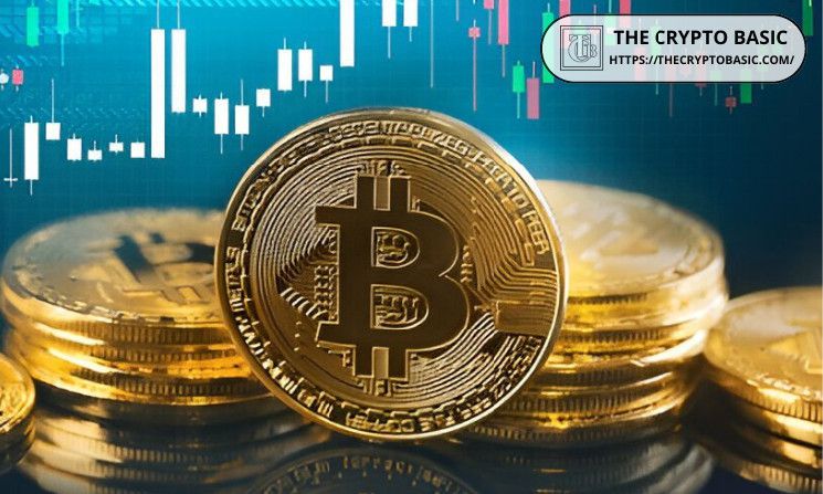 محلل مخضرم يتوقع جدول زمني لهجوم البيتكوين على أعلى سعر له على الإطلاق - اكتشف التفاصيل الآن!