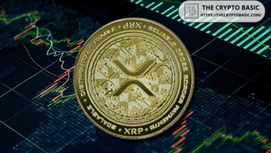 XRP قد يصل إلى 4 إلى 6 دولارات بعد انخفاضه إلى 0.51 دولار فقط عقب استئناف هيئة الأوراق المالية، مقارنة بانهيار 70% في 2020 - اكتشف الأسباب!