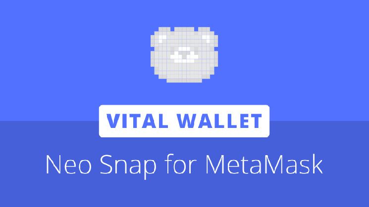 محفظة فيتال تُطلق باستخدام MetaMask Snaps لجلب محافظ Neo N3 إلى مستخدمي Ethereum - اكتشف الآن!