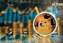 ارتفع بقيمة 1.17 مليار دولار لـ DOGE في 24 ساعة، ولكن انخفضت مؤشرات هامة - اكتشف السبب الآن!