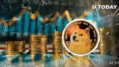 ارتفع بقيمة 1.17 مليار دولار لـ DOGE في 24 ساعة، ولكن انخفضت مؤشرات هامة - اكتشف السبب الآن!