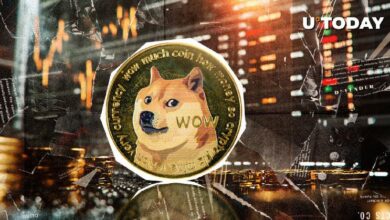 دوجكوين (DOGE) يُرفض بشدة عند 0.11$: ما الخطوة التالية؟ اكتشف الآن!