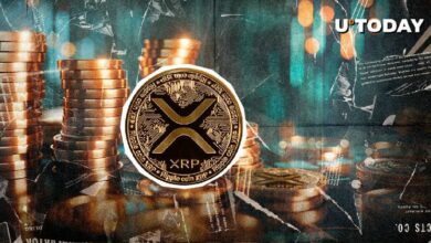 1.1 مليار دولار في 24 ساعة: ماذا ينتظر XRP بعد بيع 203 مليون دولار في السوق؟ اكتشف التفاصيل الآن!