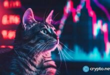 تباين أسعار Bonk وPopcat مع ارتفاع تدفقات CEX الخارجية - اكتشف التفاصيل الآن!