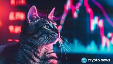 تباين أسعار Bonk وPopcat مع ارتفاع تدفقات CEX الخارجية - اكتشف التفاصيل الآن!