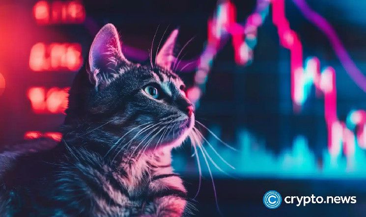 تباين أسعار Bonk وPopcat مع ارتفاع تدفقات CEX الخارجية - اكتشف التفاصيل الآن!