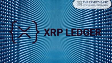 الرئيس التنفيذي السابق لريبل يعلن إحياء كوديوس - اكتشف التأثير المحتمل على دفتر XRP!