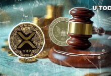 ريبل ضد لجنة الأوراق المالية: ما المخاطر التي تواجه XRP؟ خبير من لجنة SEC يشرح التفاصيل