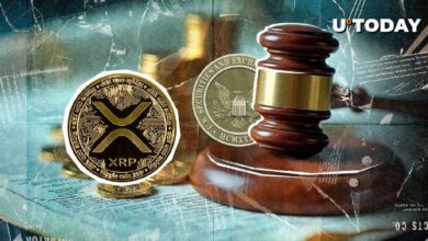 ريبل ضد لجنة الأوراق المالية: ما المخاطر التي تواجه XRP؟ خبير من لجنة SEC يشرح التفاصيل