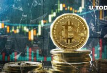 %99 من حائزي البيتكوين يحققون الربح مع اقتراب BTC من أعلى مستوى له على الإطلاق - اكتشف التفاصيل الآن!