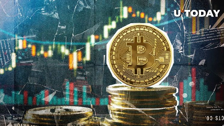 %99 من حائزي البيتكوين يحققون الربح مع اقتراب BTC من أعلى مستوى له على الإطلاق - اكتشف التفاصيل الآن!