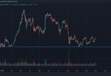 ارتفاع إيثيريوم بنسبة 2.5٪ ومهيئة لمزيد من المكاسب وسط تشاؤم يؤدي إلى خطر المراكز القصيرة - اكتشف المزيد!