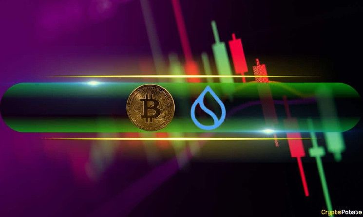 بيتكوين تقترب من أعلى مستوى على الإطلاق بفارق 150 دولارًا، وسعر SUI يرتفع يوميًا بنسبة 12٪ - اكتشف المزيد!