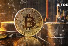 ربما لا يكون شهر أكتوبر مضموناً للبيتكوين (BTC)، لكن كبار المتداولين متفائلين - اكتشف المزيد