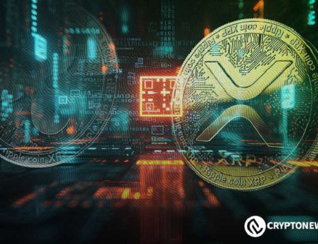 دور XRP في تسريع المدفوعات عبر الحدود لمشروع mBridge ضمن مجموعة بريكس