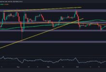 تحليل سعر ريبل: إلى أي مدى يمكن أن ينخفض XRP إذا خسر دعم 0.5 دولار؟ اكتشف الآن!