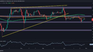 تحليل سعر ريبل: إلى أي مدى يمكن أن ينخفض XRP إذا خسر دعم 0.5 دولار؟ اكتشف الآن!