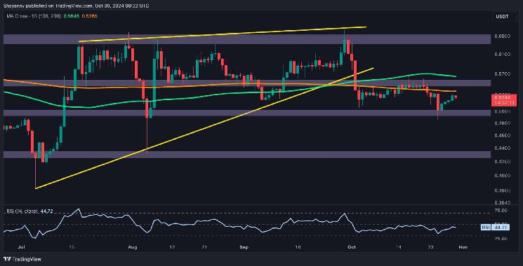 تحليل سعر ريبل: إلى أي مدى يمكن أن ينخفض XRP إذا خسر دعم 0.5 دولار؟ اكتشف الآن!