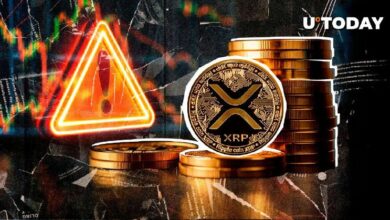 تحذير مهم لمجتمع XRP: اكتشف التفاصيل الآن