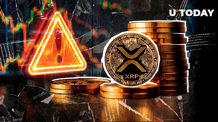 تحذير مهم لمجتمع XRP: اكتشف التفاصيل الآن