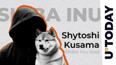 شيطوشي كوساما يثير الفضول بتشويقة Shiba Inu "العودة إلى المستقبل" - اكتشف التفاصيل!