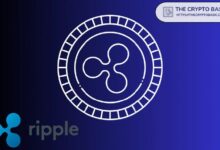 خبير يحذر: ريبل قد تخسر XRP وأصول أخرى إذا حدث هذا - اكتشف التفاصيل!