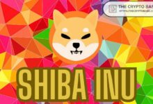 اكتشف أرباحك المحتملة مع Shiba Inu في مختلف الدول إذا وصل سعر SHIB إلى $0.0008!