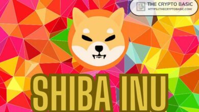 اكتشف أرباحك المحتملة مع Shiba Inu في مختلف الدول إذا وصل سعر SHIB إلى $0.0008!