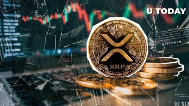 100 مليون رمز XRP في 24 ساعة: اكتشف المفاجآت الآن!