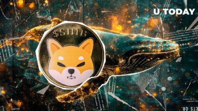 انتعاش حيتان Shiba Inu (SHIB) بزيادة هائلة قدرها 8.7 تريليون - اقرأ التفاصيل!